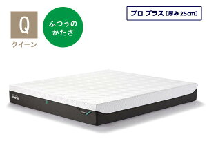 es[ }bgX v vX NC[TCY 25cm