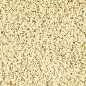 WE^ J[ybg O 140×200cm WXp[PLUS x[WF ` zbgJ[ybgOK {