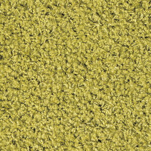 �W���E�^�� �J�[�y�b�g ���O 200×250cm �W���X�p�[PLUS ���[�t�F �����` �z�b�g�J�[�y�b�gOK ���{��