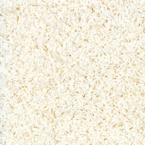 �W���E�^�� �J�[�y�b�g ���O 200×300cm �W���X�p�[PLUS �G�N�����F �����` �z�b�g�J�[�y�b�gOK ���{��