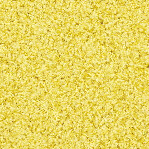 WE^ J[ybg O 200×300cm WXp[PLUS F ` zbgJ[ybgOK {