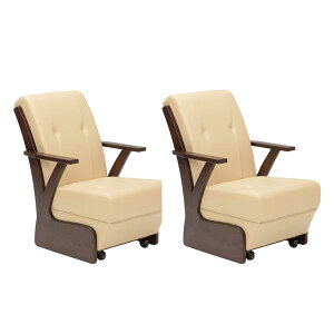 ItLX^[t֎q 2rZbg nC^Cvrp _CjOR^cp _[NuEF