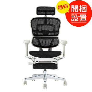 �J���ݒu EHP2-LPL-DR-GF(�G���S�q���[�}���v�� �I�b�g�}���t)(�G���X�g�����b�N�E���b�V��)�O���[�t���[��/�u���b�N ���@�\�f�X�N�`�F�A �V��Վd�l