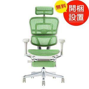 �J���ݒu EHP2-LPL-DR-GF(�G���S�q���[�}���v�� �I�b�g�}���t)(�G���X�g�����b�N�E���b�V��)�O���[�t���[��/�O���[�� ���@�\�f�X�N�`�F�A �V��Վd�l