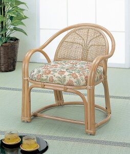 ٍ֎q A[`FA nC^Cv ʍ36Z` ^`FA BL-110 AWA