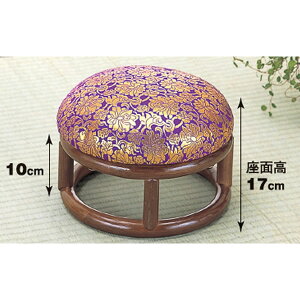 (^)E֎q ی^ ʍ17Z` Fn C-17 _[NuEt[ ֎q ԕ͗l