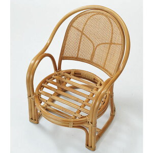 (^)֎q A[`FA ֎q ʍ36Z` Y-36 ʃXmR^Cv AWAeCXg ^`FA