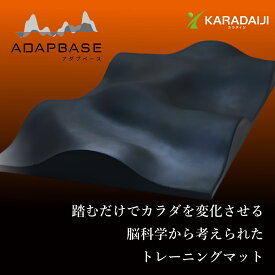 アダプベース ADAPBASE 日本製 トレーニングマット wise project ワイズプロジェクト 扁平足 ハイアーチ 重心 姿勢 能力UP