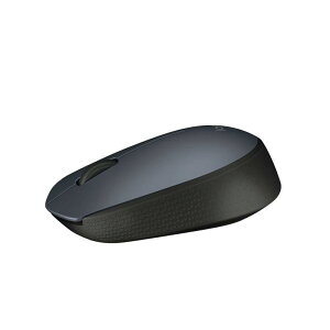 ���W�N�[�� M171rGR ���C�����X�}�E�X ���� ���^ �y�� ���E�Ώ� ������ �y�� M171r windows mac chrome �}�E�X �O���[