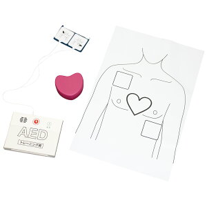 �� P10 �� 10%OFF �N�[�|���� PUSH & AED�̌��Z�b�g�@��{�Z�b�g�ysanwa�z