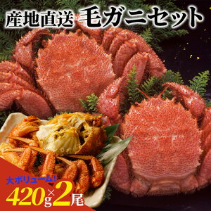 уKj(420g×2)Zbg Yn p yY 蕨 Ε  ZJjX Ⓚ ɒʔ  Mtg v[g ϔ I J^Kj  PKj уKj  J