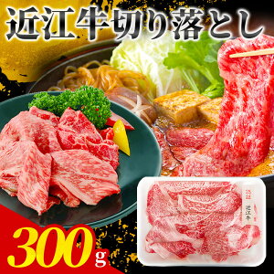 ߍ] ؂藎Ƃ 300g a јa Ⓚ    Ԑg uh ؗ ؂藎 ؂ Mtg Y {Oa XCX Ⓚ BQQ a Ԑ؂  Y ܐ؂  R} uh