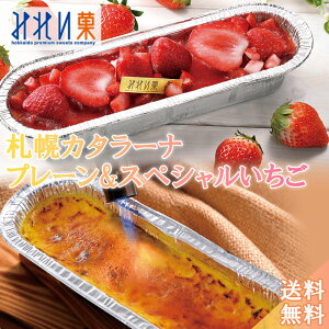 Dy J^[i(J^[i×XyV) kC yY  XC[c L v[ 260g ×1{ 330g×1{ yY v[g Mtg j Ԃ a  ACX v N