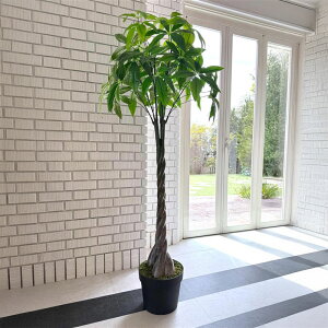 AȃtFCNO[ tFCNO[ pL K̖ tFCNO[ ^ ϗtA 185cm  A   CeA  傫  VR A[g ͂Ȃ lH