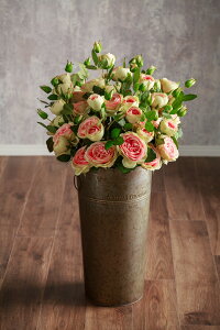 yV yԁz o No.15 12{Zbg  aMtg o[Xf[ LO v|[Y J[l[V [Y o  u[P ԑ 