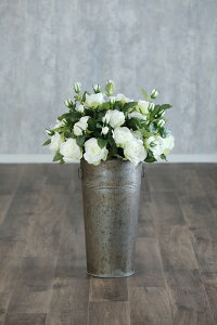 yV yԁz o No.56 12{Zbg  aMtg o[Xf[ LO v|[Y J[l[V [Y o  u[P ԑ 