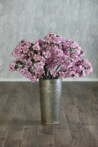 yV yԁz GUN No.59 12{Zbg  aMtg o[Xf[ LO v|[Y J[l[V TN d sakura  u[P ԑ Ǝ w җ Ê 