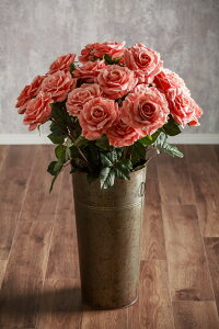 yV yԁz փo No.05 12{Zbg  aMtg o[Xf[ LO v|[Y J[l[V [Y o  u[P ԑ 