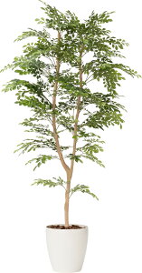 glR1{ 150cm 180cm tFCNO[ ϗtA  CeAO[ lHϗtA  O[ ItBXO[ A t l炵 V O[CeA