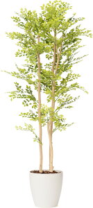 S[f[t3{150cm 180cm tFCNO[ ϗtA  CeAO[ lHϗtA  O[ ItBXO[ A t l炵 V O[C