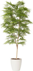 Go[tbV1{150cm 180cm tFCNO[ ϗtA  CeAO[ lHϗtA  O[ ItBXO[ A t l炵 V O[C