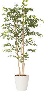 tBJX3{150cm 180cm tFCNO[ ϗtA  CeAO[ lHϗtA  O[ ItBXO[ A t l炵 V O[CeA