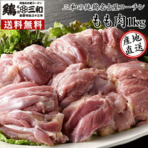  Oȁ{ÉR[`1kg nƖ33N {Oa n{ { ① 4`5lp