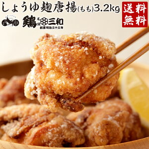 y炠Ov܎܁z  ȑe {Oa ݖg()3.2kg nƖ33N Y{gp g