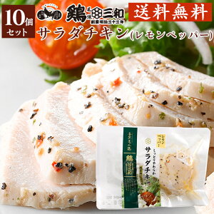 T_`L  ȑe Ƃ炩T_`L(ybp[)10Zbg nƖ33N {Oa {