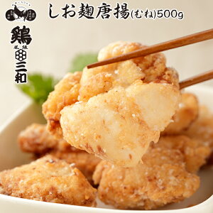 {Oa g(ނ)500g nƖ33N Y{gp ނ˓g