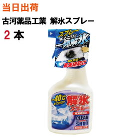 楽天市場 車 凍結 スプレーの通販