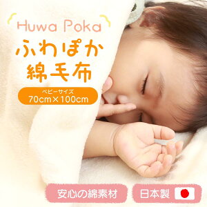 ӂۂ xr[ Ȗѕz qǂ 70cm×100cm {  100 ѕz qǂ Ԃ Ȗѕz qǂ ۈ牀 oYj AC{[ F