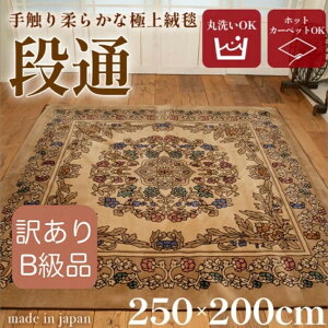 送料無料 訳あり 絨毯 ラグマット 3畳 長方形 250cm×200cm 洗える 国産 厚手 カーペット 段通 ホットカーペットカバー 春 暖か おしゃれ 高級 金華山織 キャニオン ベージュ あす楽 【メーカー直