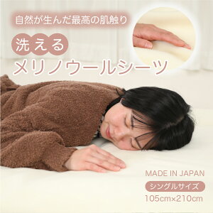 E[ {AV[c V[c VO 􂦂 mE[ { E[100 g ~ ѕz ~ѕzJo[ E[ ѕz St 105cm×210cm { y y[J[́z