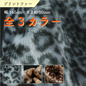 tFCNt@[ vg t@[ n z 145cm Jbg Ip[h or S3F