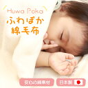 ふわぽか 綿毛布　100×140　日本製 綿100% 毛布 赤ちゃん キッズ 子供 保育園 出産祝い アイボリー ベージュ ブルー …