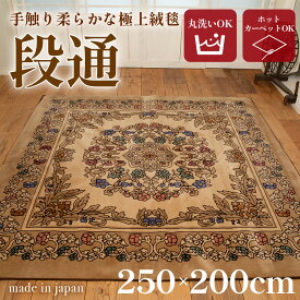 送料無料 訳あり 絨毯 ラグマット 3畳 長方形 250cm×200cm 洗える 国産 厚手 カーペット 段通 ホットカーペットカバー 春 暖か おしゃれ 高級 金華山織 キャニオン ベージュ あす楽 【メーカー直販】