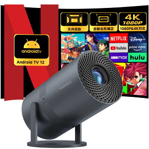 y1000~OFFN[| Android TV12ځ |Cg10{8VzvWFN^[ ^ ƒp vWFN^[ V䓊e android 4KΉ 邢 1080P 20000LM RpNgvWFN^[ 