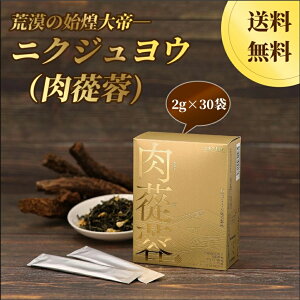 ?u Tv  r̎n jNWE pE_[ ̓Tv j C Tvg NTv NTvg h{  邢 ̎ ڂ̔ ňb GLX ibgE