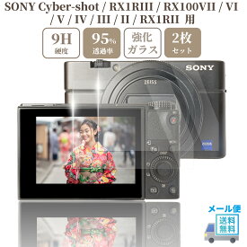 sanwatrade SONY Cyber-shot RX1RIII RII R / RX100VII VI V IV III II / HX99 / WX800 700 専用 ガラスフィルム 液晶 保護 硬度9H 【 2枚 】セット