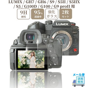 yyVX[p[SALE 1000~|bL zPanasonic LUMIX GH7 / GH6 / S9 / S5II / S5IIX / G100D / G9 proII p KXtB t ی dx9H y 2 zZbg DC-GH7 DC-GH6 DC-S9 DC-S5M2 DC-S5M2X DC-G100D DC-G9M2