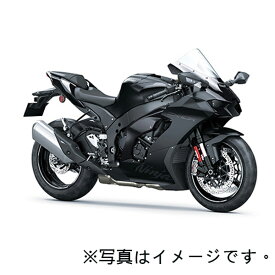 【新車】2024年　カワサキ ニンジャ ZX-10R　レース専用モデル　KAWASAKI Ninja ZX-10R