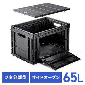 ܂肽݃Rei IR o J e65L ω׏d25kg TChI[v Rei{bNX OWt X^bLO ו[ ۊ h AEghA ubN