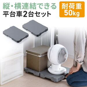  LX^[ t  z[L[ [ ړ ^ [ o RpNg A O[ ω׏d50kg 2Zbg