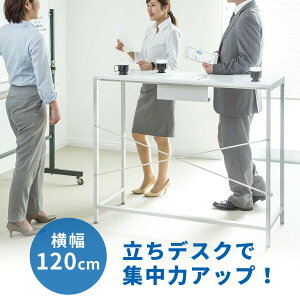 X^fBOfXN 120cm p\RfXN ȃXy[X nCfXN nCe[u  X^fBOe[u ~[eBOe[u ItBX Lb` JE^[e[u  