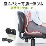【楽天1位受賞】姿勢補正 サポートチェア 腰痛対策 椅子 イス 後付け 猫背 テレワーク 腰サポート S字 ク…