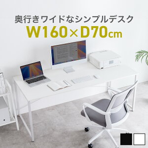 VvfXN [NfXN  160cm s70cm j^[A[Ή