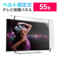 テレビ保護パネル 55型 55インチ 落下防止ベルト付き テレビガード キズ防止 子供 赤ちゃん ペット テレ…