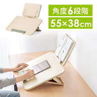 【楽天1位受賞】学習台 傾斜台 卓上 6段階角度調整 2層タイプ ブックスタンド付き 姿勢改善 iPad 絵描き …