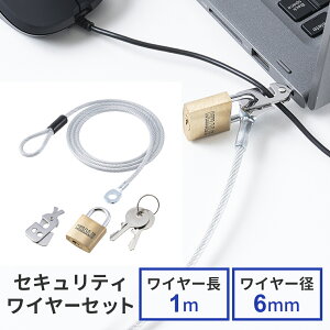 ZLeBCZbg Iׂp\RZLeB ZLeB|[g PWg Noble NanoSaver P[u1m Ca6mm